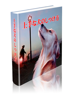 無料プレゼント(特典)